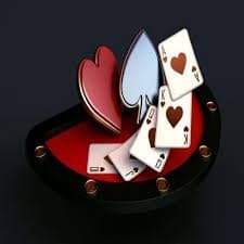 tg6 bet